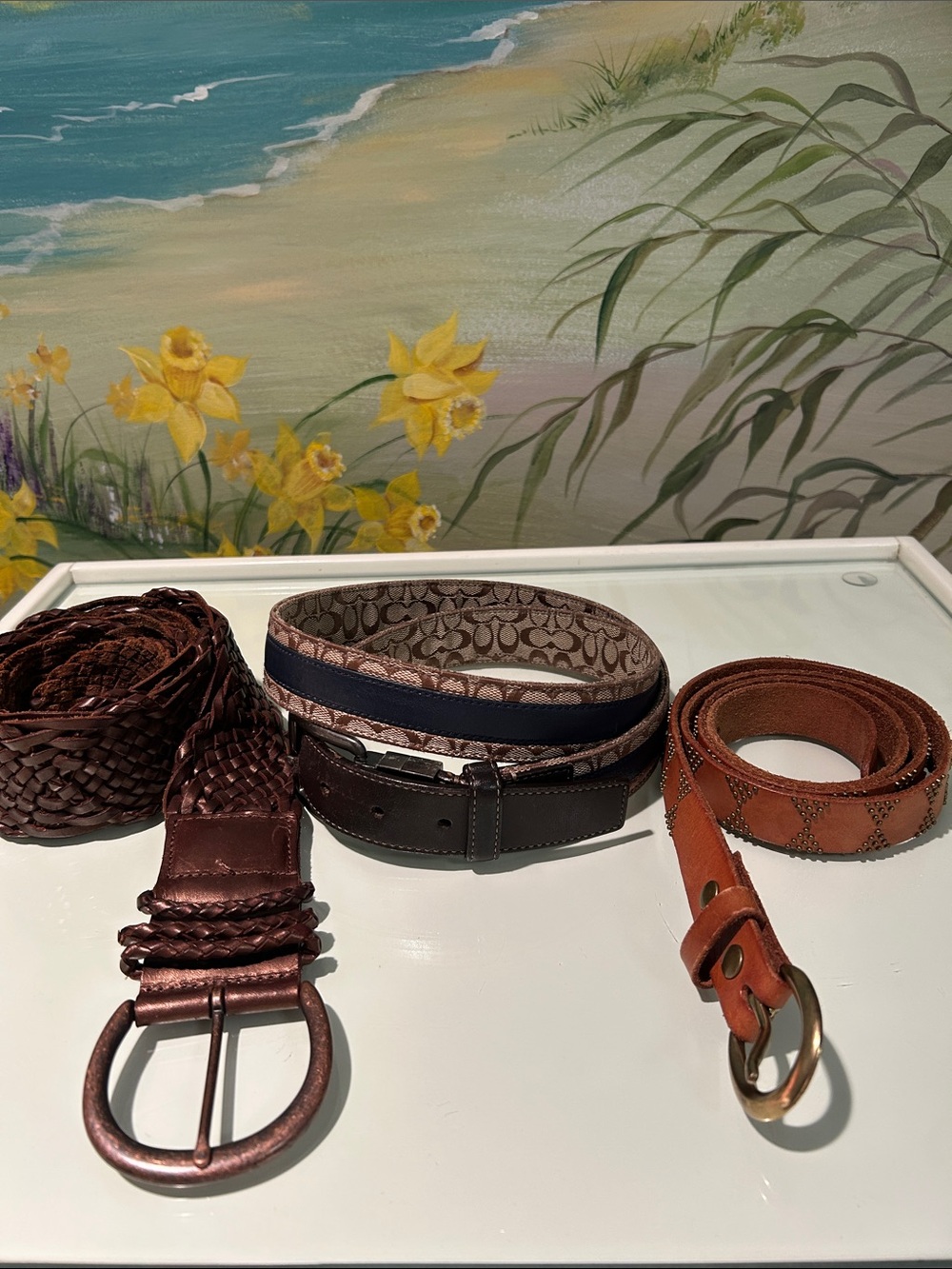 Belt Bundle. Coach, American Eagle & Lucky Brand. All Genuine Leather.